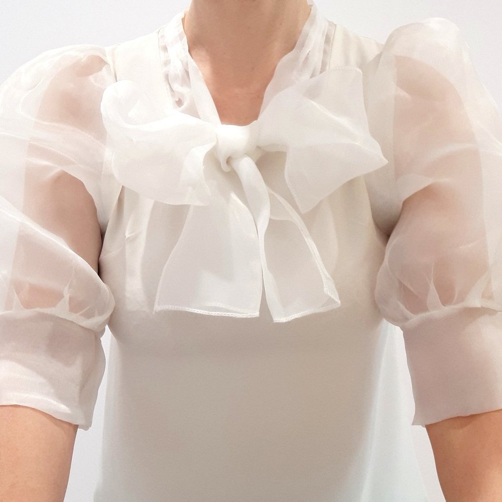 UNIQUE Sheer Blouse-Ladies See Through Long Bow Tie Neck Sleeve Shir